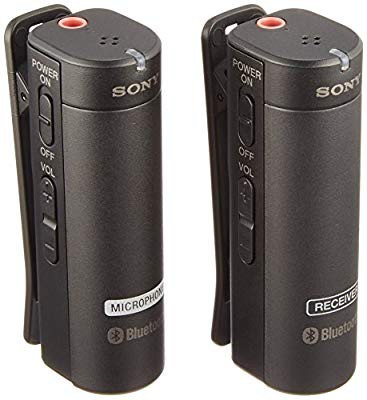 良質 【新品】 ソニー SONY ワイヤレスマイクロホン ECM-AW4 C, アーバーライフ d0d34a33