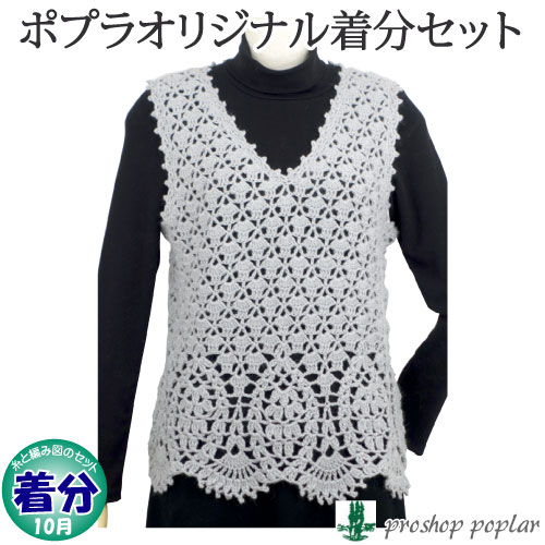 ブランドおしゃれ 秋冬 ドロップベスト 中級者 編み物キット おしゃれ Mawaredenergy Com