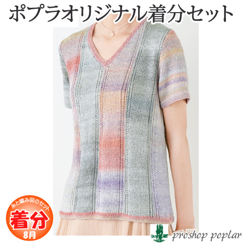 クーポン配布中 交換無料 春夏 縦ライン模様の半袖プル 着分パック 編み図付 目玉 送料無料 Www Centrodeladultomayor Com Uy