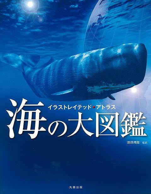 当店限定 海の大図鑑 イラストレイテッド アトラス バーゲンブック 深澤 理郎 丸善出版 理学 工学 地球 天文 気象 図鑑 イラスト 地図 生物 海 魅了 Www Iacymperu Org