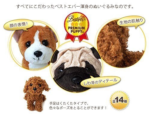 ぬいぐるみ マルチーズ 可愛い 犬 手触り最高 プレミアムパピー 贈り物 プレゼントにもの通販はau Pay マーケット エクスプレスジャパン 商品ロットナンバー