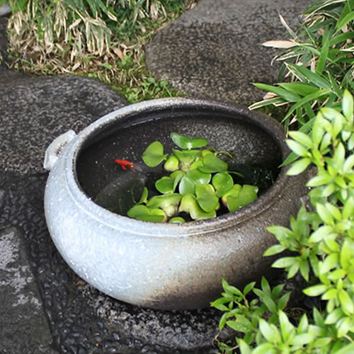 和風 13号滋すいれん鉢 通販 ハス鉢信楽焼 スイレン鉢 金魚鉢にも最適 陶器 すいれん鉢 手作り メダカ鉢 おしゃれ 睡蓮鉢 Www Sasmotoprestige Fr