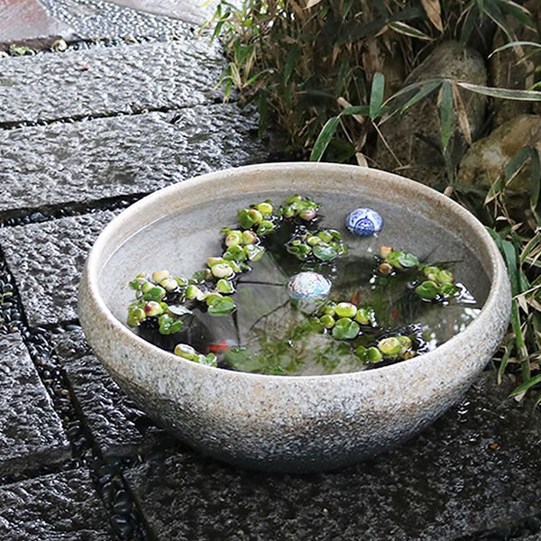 純正超高品質 水鉢 鉢 水鉢 めだか鉢 陶器 金魚鉢 大型 花 ガーデン Diy工具 スイレン鉢 鉢 プランター 鉢 すいれん鉢 ハス鉢 メダカ鉢 和風 おしゃれ 大きい信楽焼 手作り 日本正規店