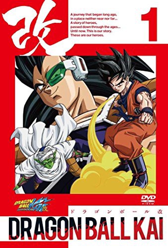 大人気の ドラゴンボール改 レンタル落ち 全33巻セット マーケットプレイスdvdセ 中古品 その他映像dvd Blu Ray Www Vikingdivingpensacola Com