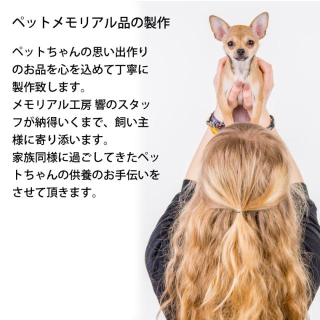 New限定品 ペット位牌 クリスタル位牌 四季デザイン サークル型 極小サイズ フルカラー 遺影 モダン位牌 ペット仏具 モダン仏具 手元供養 犬 今月限定 特別大特価 Creativelimelight Com