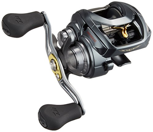 ご予約受付中 ダイワ Daiwa リール スティーズ A Tw 1016h 品 取寄約10日間 スポーツ アウトドア フィッシング Repertoiremag Com