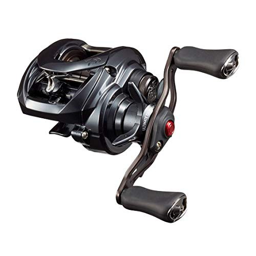 ダイワ(DAIWA) ベイトリールタトゥーラ SV TW 103SHL 2020モデル(中古品)