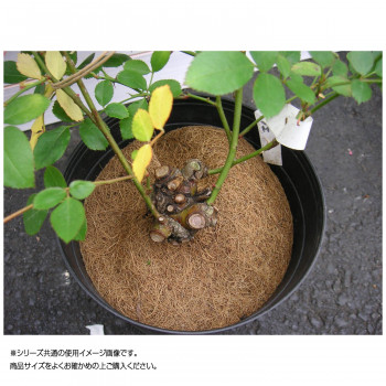 共和開発 ヤシ繊維円盤マット10枚 280の通販はau Pay マーケット プリティウーマン 商品ロットナンバー