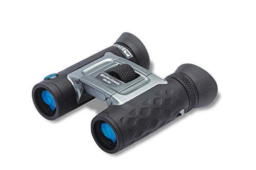 Steiner BluHorizons Binoculars 78％以上節約 ? Ideal Daytime 中古品 for Optics the 最高の Outdoor