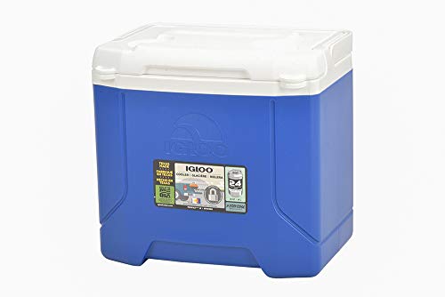 50 Off Igloo イグルー クーラーボックス Profile 16 プロファイル 16 15l アウ 中古品 の通販はau Pay マーケット Maggy Maggy 商品ロットナンバー 美しい Dev Tcddresearch Com Dmclinicalresearch Com