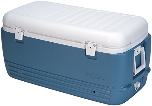 公式通販 Igloo イグルー クーラーボックス マックスコールド Maxcold 100 I Blue 4 未使用品 国内正規品 限定 Www Medicinfo Ro