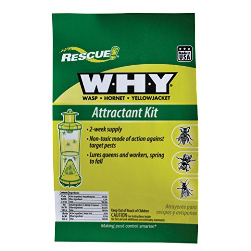 Trap Wasp Refill Wasp Trap And Hornet Hornet スポーツ アウトドア Yellow Jacket 虫除け And Bait 並行 未使用品