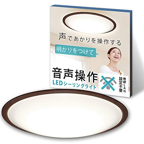 驚きの値段 アイリスオーヤマ Ledシーリングライト 音声操作 調光 調色 6畳 日本照明 未使用品 気質アップ Amdissmedia Net