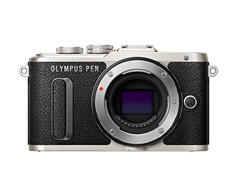 (税込) OLYMPUS ミラーレス一眼 E-PL8 ボディー ブラック(品), トヨノグン bb79da2b