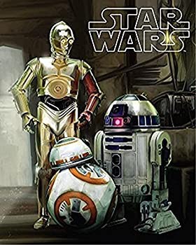 日本全国送料無料 輸入品 未使用 ディズニー Disney Star Wars Droids R2d2 C3p 早者勝ち Farmerscentre Com Ng