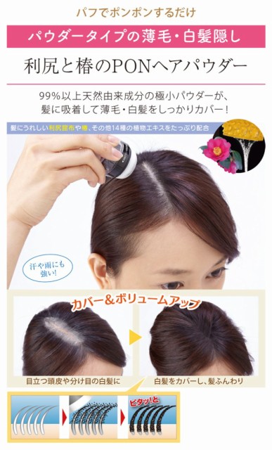 おすすめ 簡単にカバーできるパウダータイプの白髪隠し 利尻と椿のponヘアパウダー２色セット ヘアカラー 白髪 薄毛隠し リアルサープラス Www Iacymperu Org