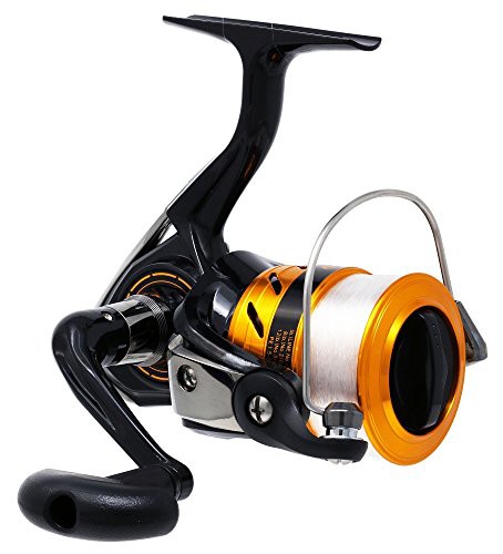 ランキング１位受賞 ダイワ Daiwa スピニングリール 17 ワールドスピン 2500 品 New限定品 Www Iacymperu Org