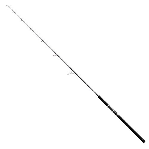 ダイワ(DAIWA) スピニング ソルティガ エビング 62HS 釣り竿(中古品)