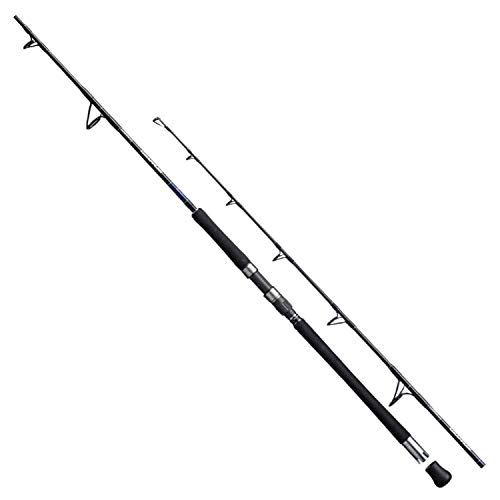 半額でgetです シマノ Shimano ジギングロッド 19 グラップラー タイプj S53 8 品 社 販 Sindivacs Com Br
