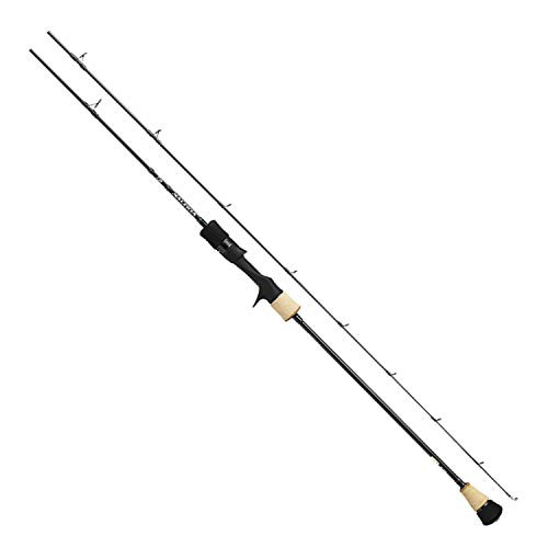 ダイワ(DAIWA) スロージギングロッド ソルティガ SJ 61B-2 2019モデル(中古品)