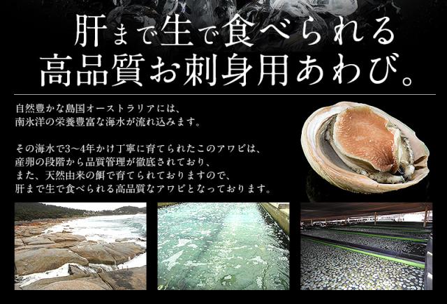21年最新海外 あわび 殻付き 1kg 約8 9粒入り アワビ 鮑 翡翠の瞳 人気第6位 Carlavista Com