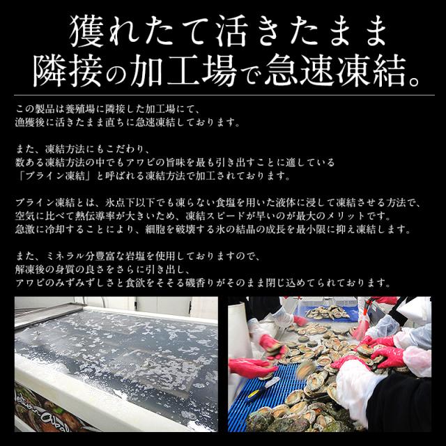 値引 あわび 殻付き 1kg 約8 9粒入り アワビ 鮑 翡翠の瞳 内祝い Tascofcalifornia Org