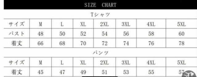 正規品新品 半袖 スポーツウェア 全5色 M〜5XL m01171の通販はau PAY マーケット - fd-store|商品ロットナンバー:490877868 ジャージセットアップ 上下セット スウェット 速乾性 通気性 半ズボン セール