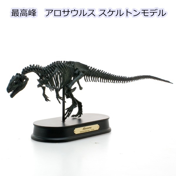 正規店仕入れの 恐竜 おもちゃ フィギュア 最高峰 骨格モデル アロサウルス スケルトンモデル Fds 605bk フェバリット ジュラシックワールド ジュラ 上質で快適 Olsonesq Com