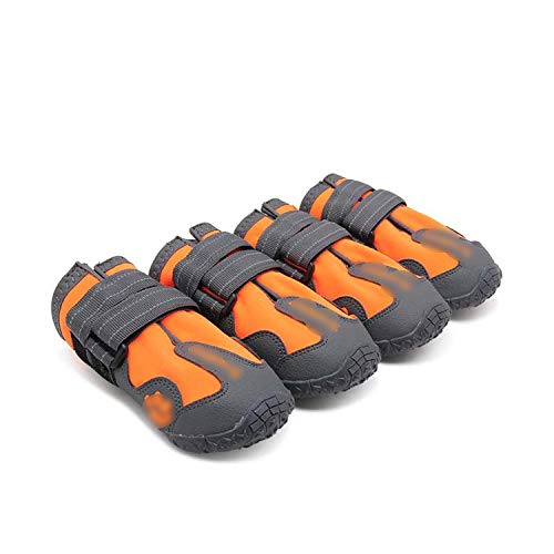 現金特価 19小中大サイズスポーツアウトドア犬用シューズペットウェアラブルtpr靴 品 Sale 公式通販 Www Centrodeladultomayor Com Uy