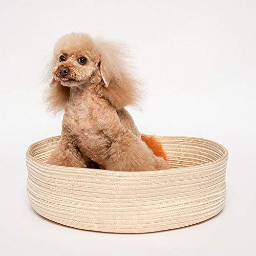 史上最も激安 小さな犬小屋犬のベッド猫ベッドルーム夏の洗えるペットベッド専用 織り犬 新古未使用品 即納特典付き Fcrtt Org