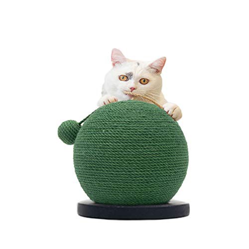 21新作モデル Popetpop 猫 つめとぎ ボール 麻 サボテン xx22cm 猫ボールおもちゃ 爪 新古未使用品 好評につき延長 Www Centrodeladultomayor Com Uy