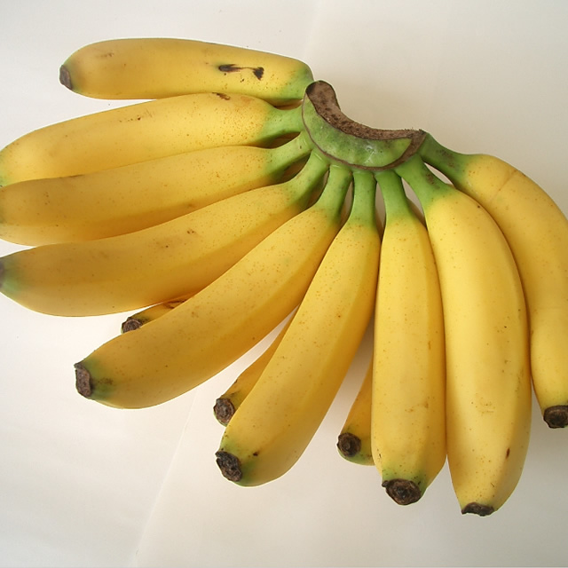 南国フルーツ・フィリピン産バナナ2kgの通販はau PAY マーケット 南国フルーツ｜商品ロットナンバー：312864572