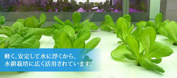 水耕パネル 水耕パネル