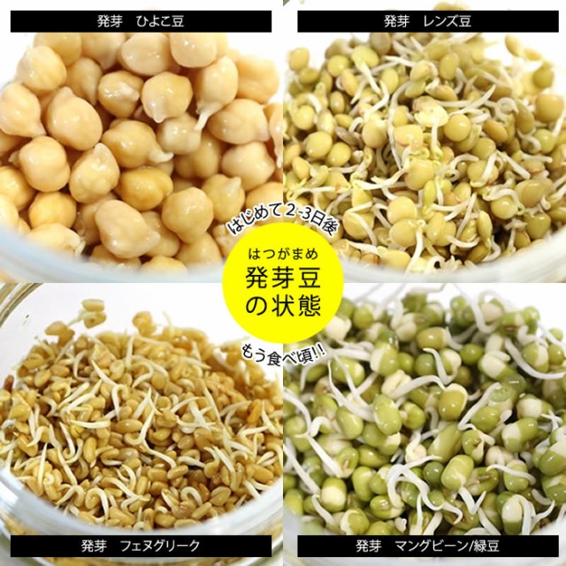 豆