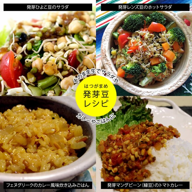 豆