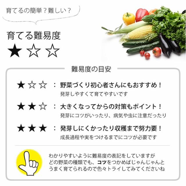 難易度