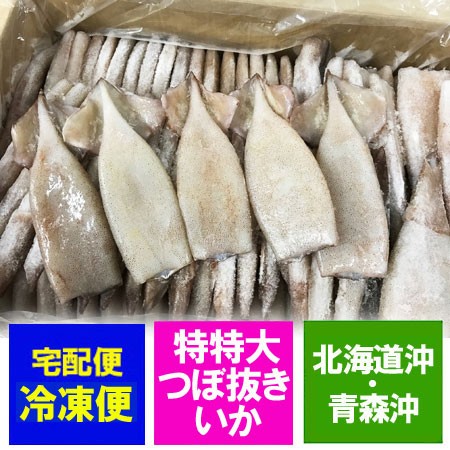 魅了 イカ 海鮮バーベキュー イカ焼き 冷凍 いか 送料無料 北海道沖 青森沖 イカ つぼ抜き イカ 30尾前後 価格 150円 業務用 冷凍 いか 激安ブランド Olsonesq Com