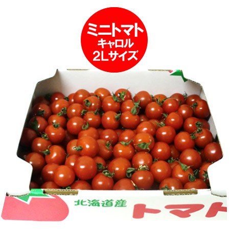 期間限定 30 Off トマト 送料無料 ミニトマト 北海道 とまと 2lサイズ 6kg 6キロ 価格6680円 ミニ トマト 値引 Centrodeladultomayor Com Uy