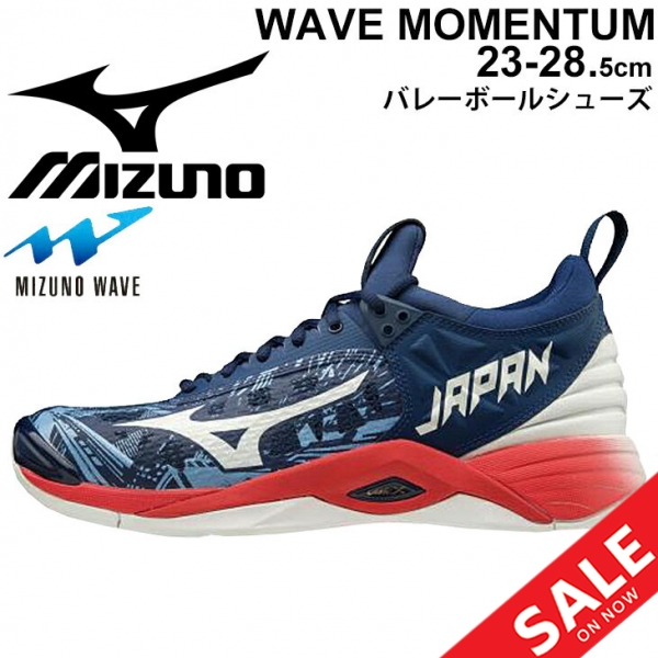 お洒落無限大 バレーボールシューズ 2 5e相当 ミズノ Mizuno Wave Momentum ウエーブモーメンタム Japan メンズ