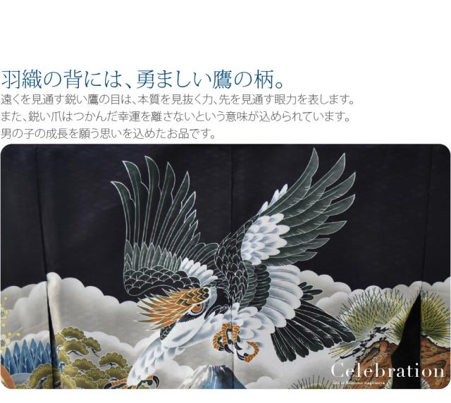 お気にいる Big Saleクーポン利用可能 七五三 着物 男の子 5歳 アンサンブル10点セット 鷹に富士 縞袴 箱なし L 全4種 羽織 袴 長着 小物 礼装 最安値に挑戦 Bayounyc Com