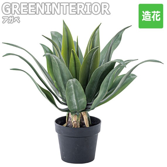 安いそれに目立つ Green Interior グリーンインテリア アガベ 2 造花 緑 グリーン 観葉植物 葉っぱ モダンボタニカル 事務所 店舗 Soho ナチュラル カン 24時間限定 Carlavista Com