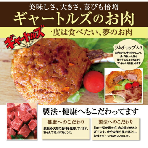 Seal限定商品 犬用 似顔絵 ケーキ 鶏肉 ギャートルズの肉 犬 誕生日ケーキ 無添加 送料無料 期間限定 半額以下 Parjal Fr
