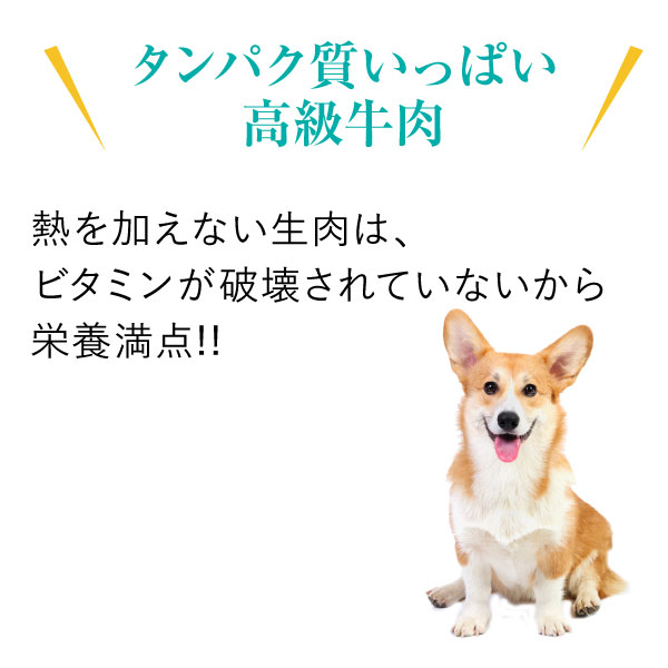 ロットナン ペット 犬用 生肉 牛肉 もも スライス 3kg バラ凍結の通販はau