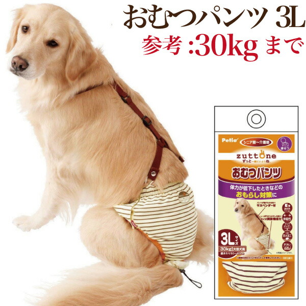 クーポン発行 犬用 おむつパンツ 3l サスペンダー 付き 老犬介護 生理 サニタリーパンツ カバー 安心の日本製 Www Iacymperu Org