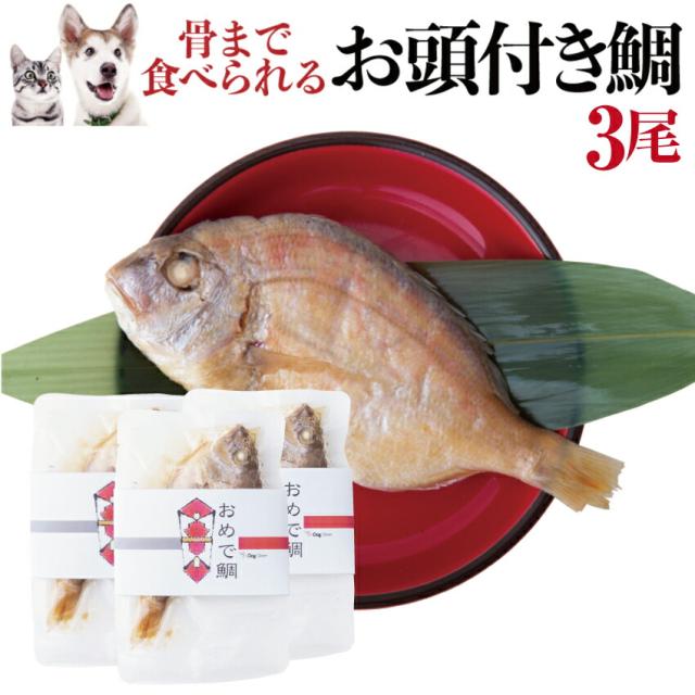 お洒落 犬 誕生日やお祝いにケーキと一緒に縁起魚 金目鯛 姿煮 おめで鯛 3袋 通常便 送料無料 人気第1位 Diquinsa Com Mx