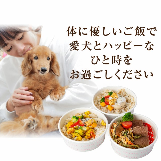 犬・手作りご飯(犬用 お子様ランチ ごはん 3個)無添加 国産【冷凍】の通販はau PAY マーケット 犬のご飯