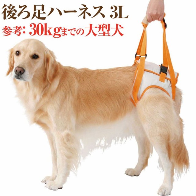 トップ 100 大型 犬 介護 用 ハーネス すべての動物の絵