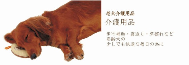 介護用品 お店のカテゴリ 犬のご飯とケーキのドッグダイナーネットショッピング 通販はau Pay マーケット