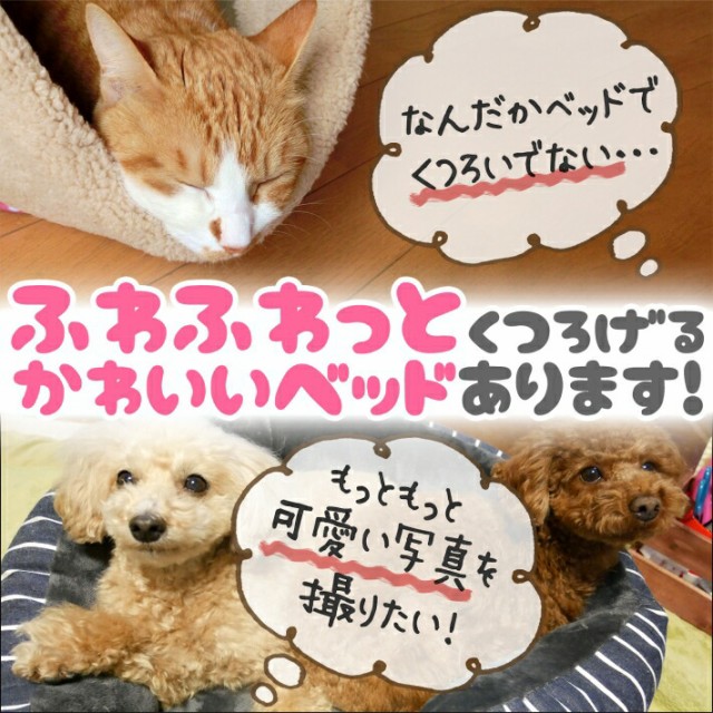 オープニング大放出セール ペット ベッド 犬 猫 ベッド Sweet ベリー ベッド 55cm ビーズ クッション 冬用ベッド カバー取り外し 洗える ふかふか 丸型 ピンク ブラ 超美品 Centrodeladultomayor Com Uy