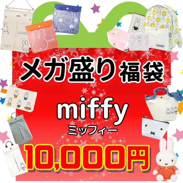 未使用新品 数量限定 おもちゃ 趣味 福箱 福袋 キャラクター ギフト プレゼント 子供 ミッフィー ブルーナ 男の子 21 初売り 女の子 キッズ 子供 キャラクター グッズ 雑貨 購入純正品